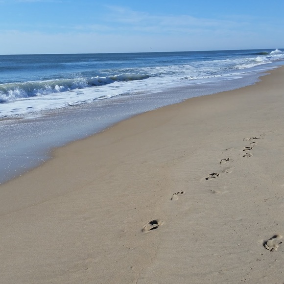 Meet your Posher, Nereida - Picture 1 of 1